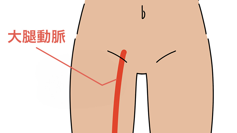 大腿動脈のイメージ