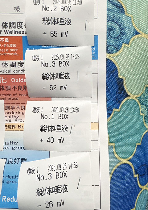 酸化還元測定のデータ